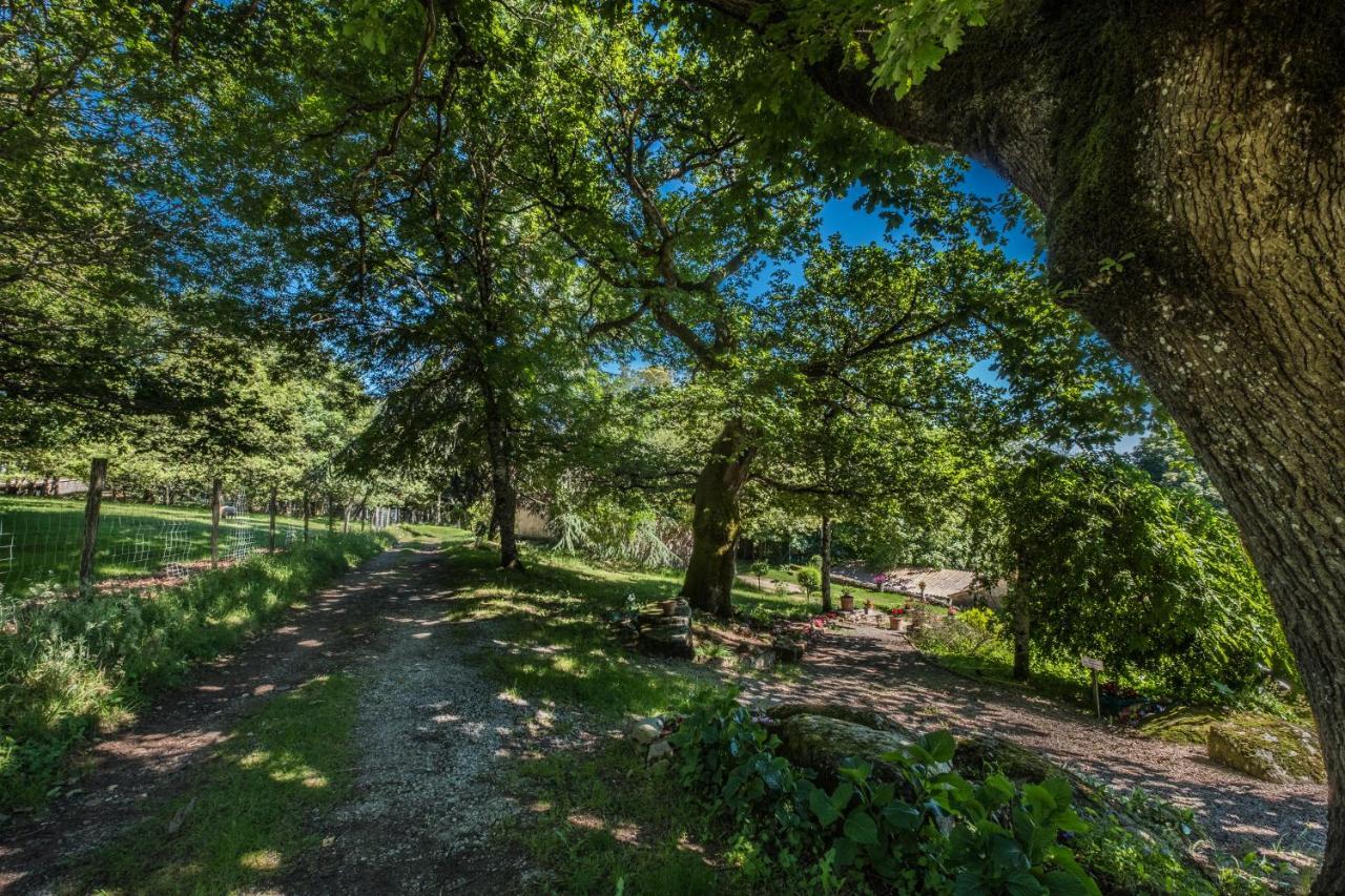 Domaine De Malouzies 호텔 Fonties-Cabardès 외부 사진