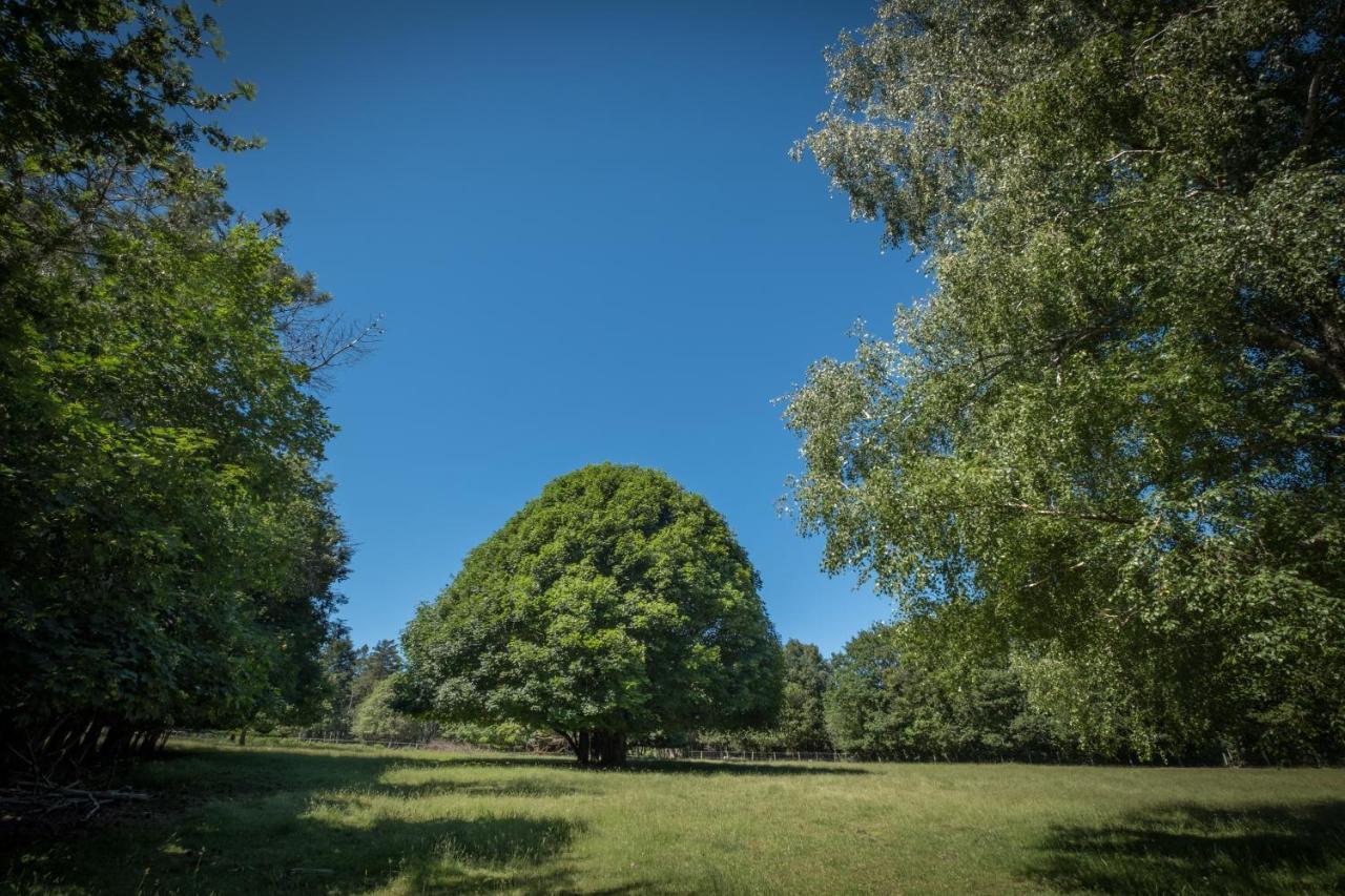 Domaine De Malouzies 호텔 Fonties-Cabardès 외부 사진